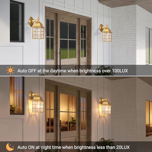 2 Pack Outdoor Light Fixtures (2 Count)