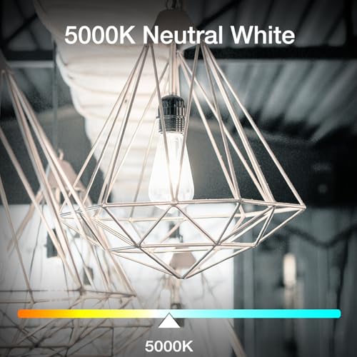 12 Pack Vintage LED Edison Bulbs (12 Count)