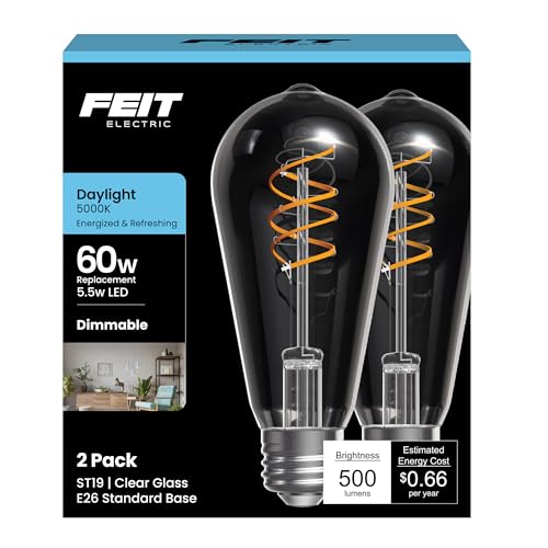 ST19 LED Vintage Light Bulb (2 Count)