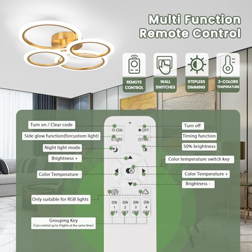 Modern LED Ceiling Light