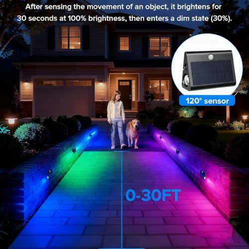 6 Pack Motion Sensor Solar Step Lights (6 Count)