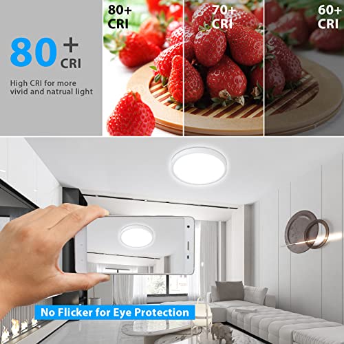 Dimmable Ceiling Light with Remote Control