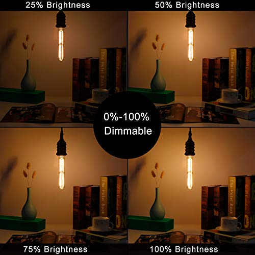 E26 T10 Edison Bulbs (6 Count)