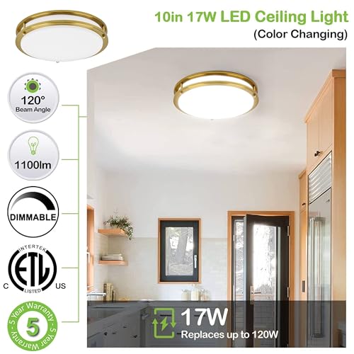 10 inch Flush Mount LED Ceiling Light Fixture