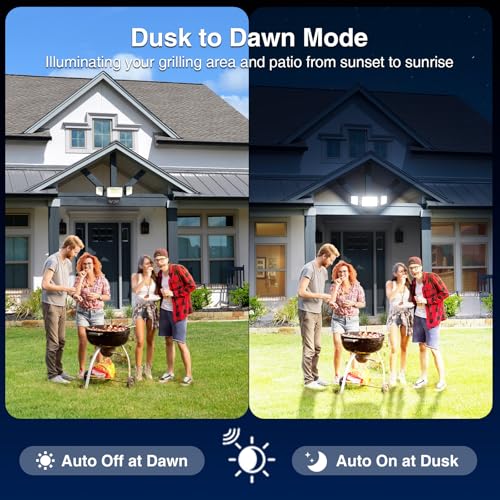 100w Dusk to Dawn Outdoor Lighting