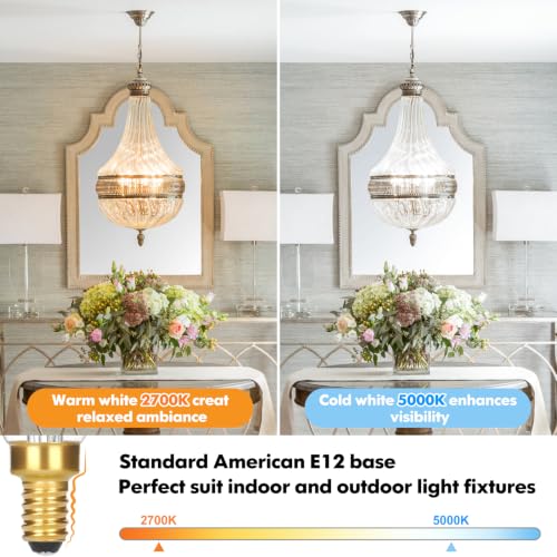 Dimmable E12 Candelabra LED Light Bulbs 40W Equivalent (48 Count)