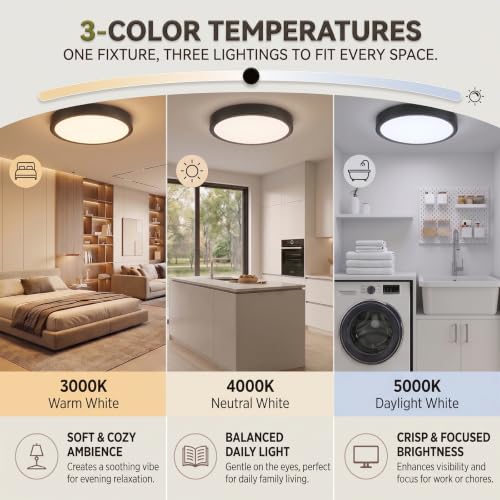 Flush Mount Ceiling Light (Black)