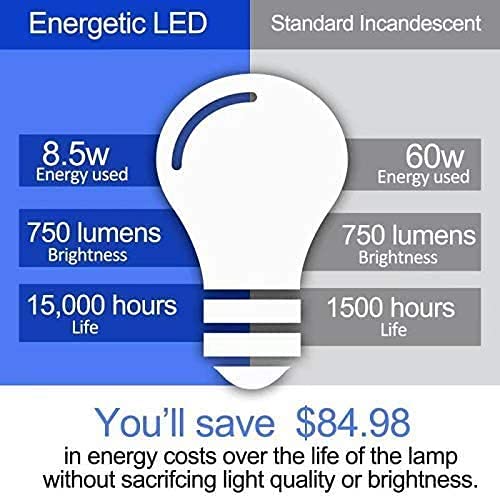 Energetic 60W Equivalent (6 Count)