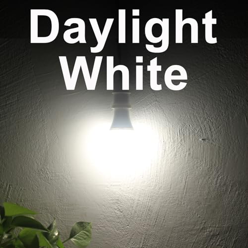 Dusk to Dawn Light Bulbs (4 Count)