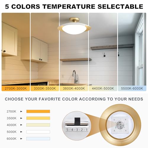Dimmable Modern LED White and Gold Ceiling Light Fixture 15.75 in