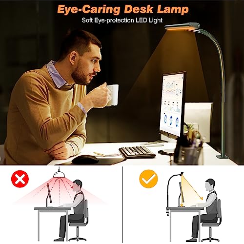 LED Desk Lamp with Clamp