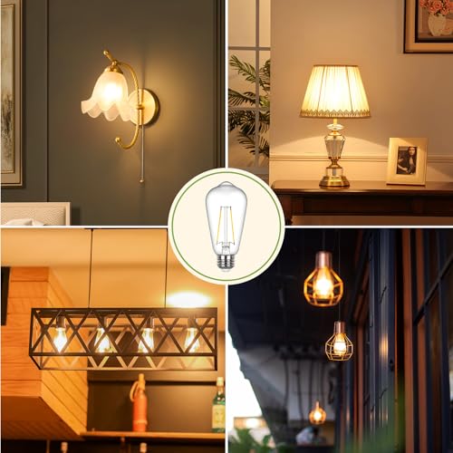 Vintage LED Edison Bulb 60 watt Equivalent (12 Count)