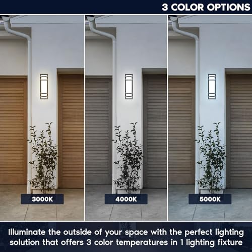 LED Outdoor Wall Lights (2 Count)