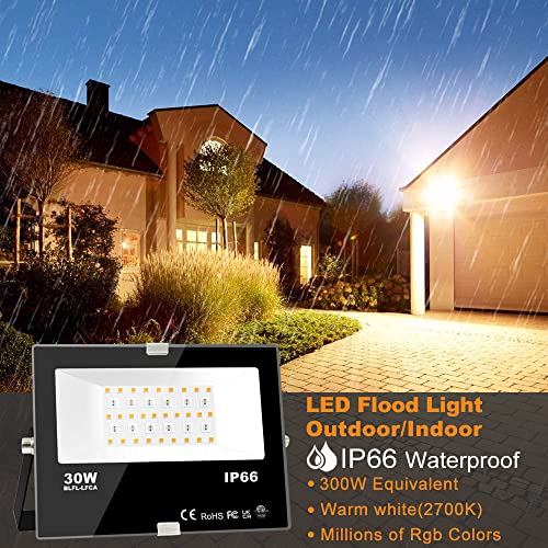 LED Flood Light Outdoor 30W (4 Count)