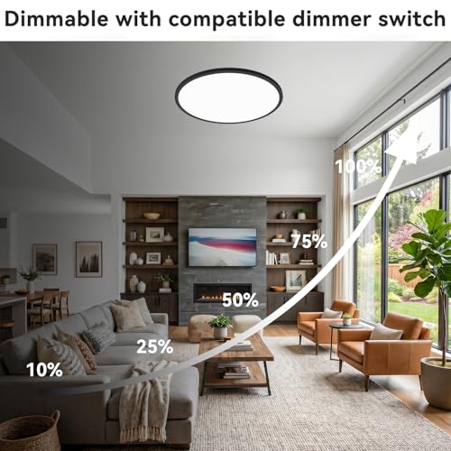 15.8INCH 2Pack Big Dimmable Flush Mount Ceiling Light Fixture Black