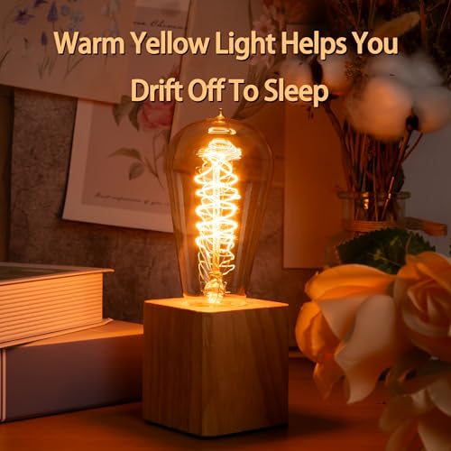 Warm Incandescent Light Bulbs 60 Watt