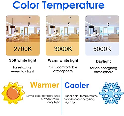 Energetic 60W Equivalent (6 Count)