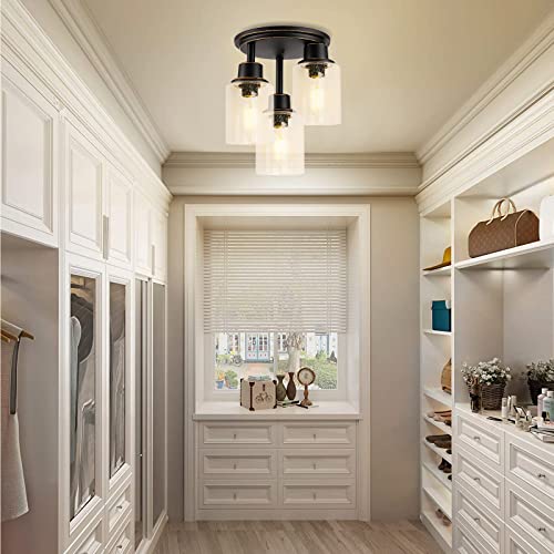 Semi Flush Mount Ceiling Light