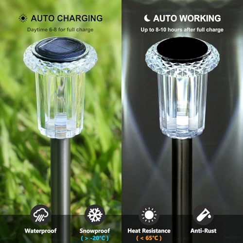 Solar Lights Outdoor Waterproof 10 Pack Pathway Lights Cool White (10 Count)
