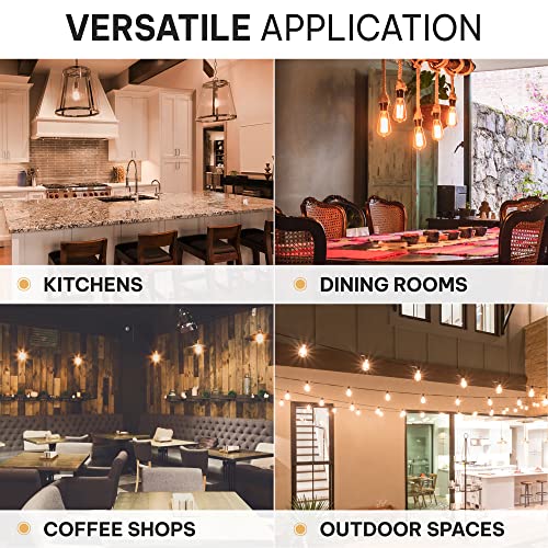Vintage Incandescent 60W Edison Light Bulbs (4 Count)