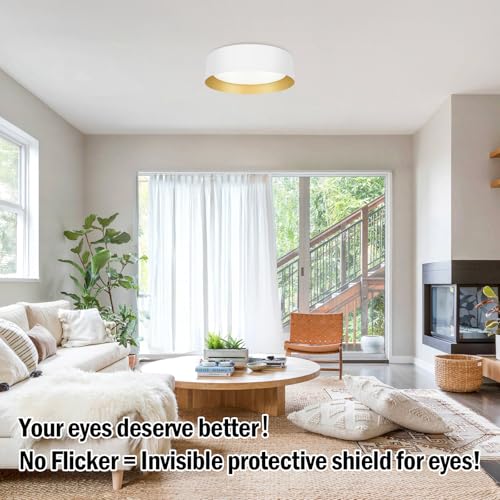 Flush Mount Ceiling Light