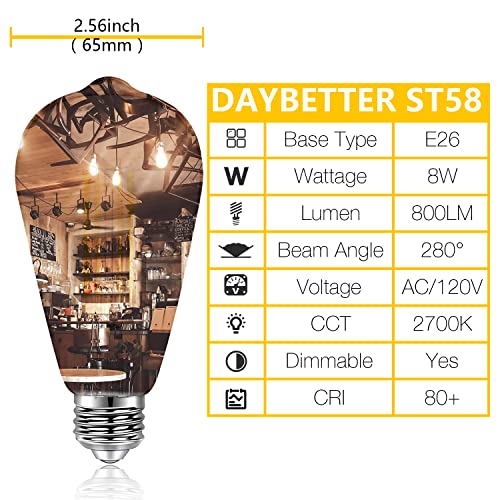 20 Pack ST58 LED Edison Bulbs (20 Count)