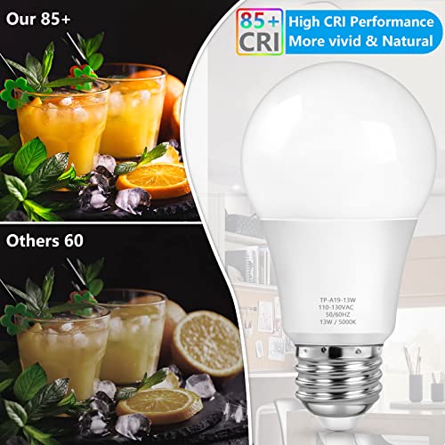 A19 LED Light Bulbs (20 Count)