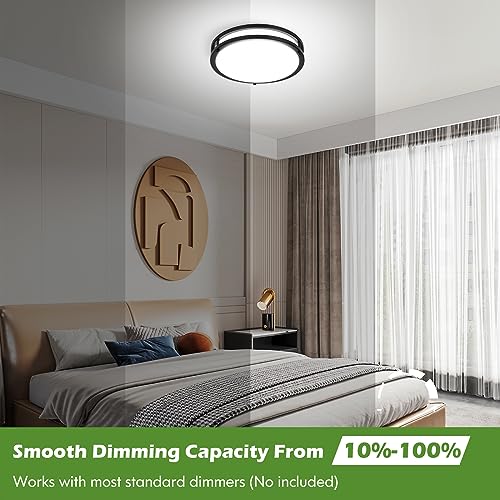 2 Pack 10 Inch Bathroom Light Fixtures Ceiling Mount (2 Count)