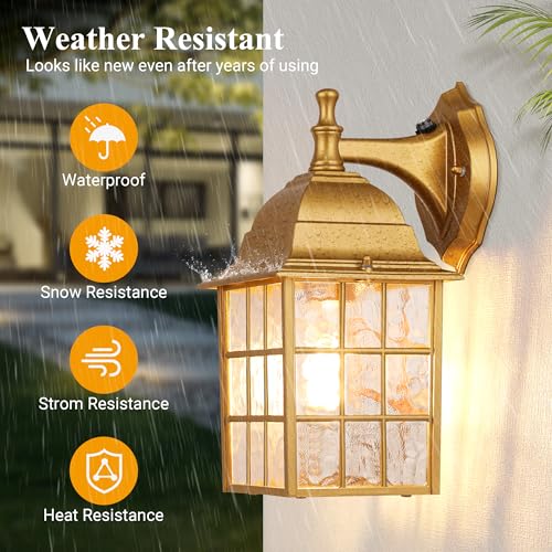 2 Pack Outdoor Light Fixtures (2 Count)