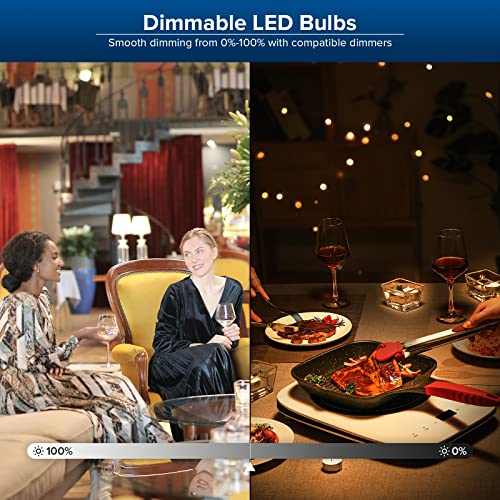 Dimmable LED Light Bulbs (2 Count)