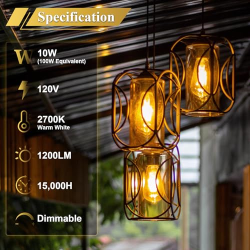 Dimmable Edison Bulbs 100W Equivalent (6 Count)