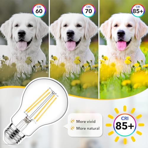 60W Equivalent E26 LED Filament Light Bulbs (4 Count)