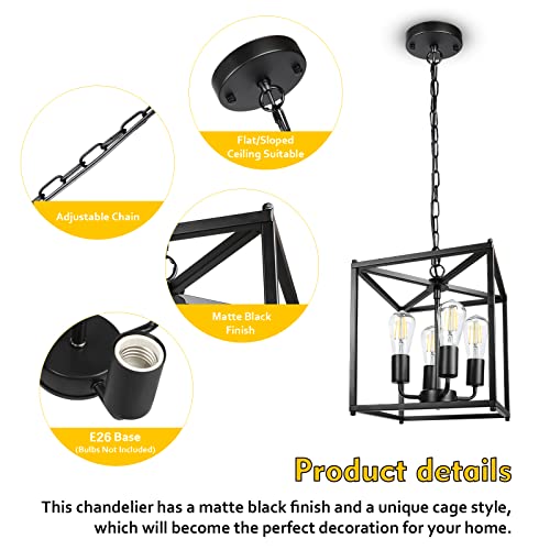 4 Light Black Farmhouse Chandelier