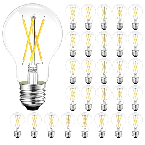 Dimmable A19 E26 Edison Bulbs 60 watt Equivalent (24 Count)