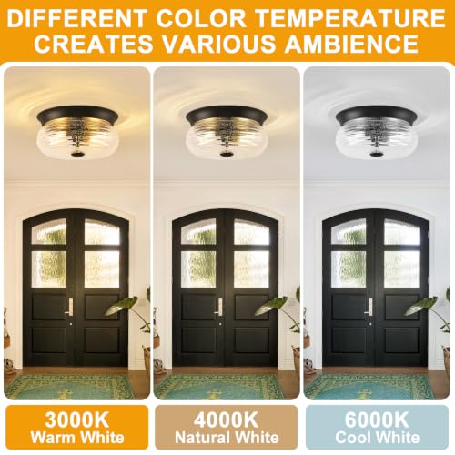Black Flush Mount Ceiling Light Fixtures (Matte Black + Clear Air Bubble Glass(No Assembly Required))