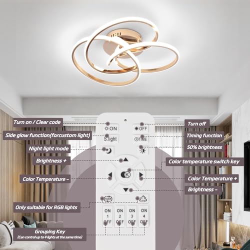 Modern LED Ceiling Light Fixture