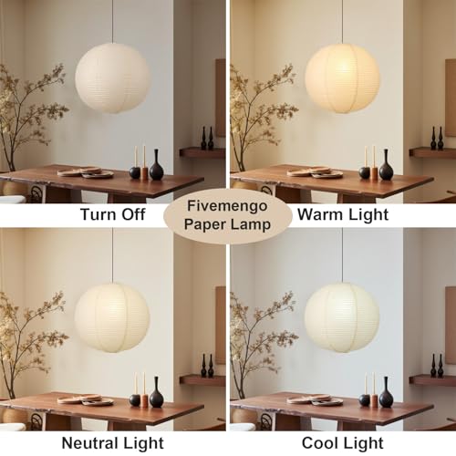 Large Paper Pendant Light with Cord and Canopy