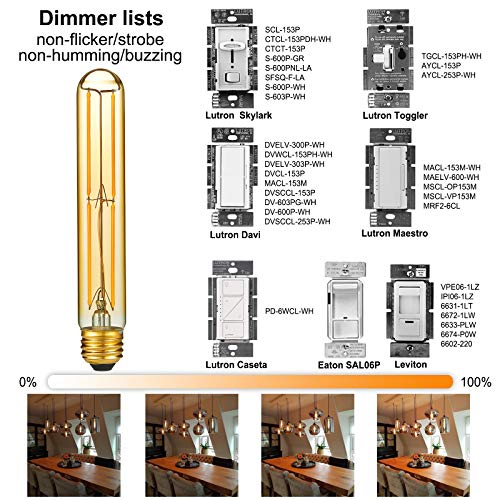 E26 T10 Edison Bulbs (6 Count)