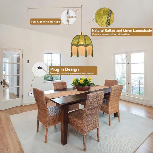 Boho Plug in Pendant Light Rustic Hanging Lights with Plug in Cord & Flower Lampshade (Green-tassels / 11.3)