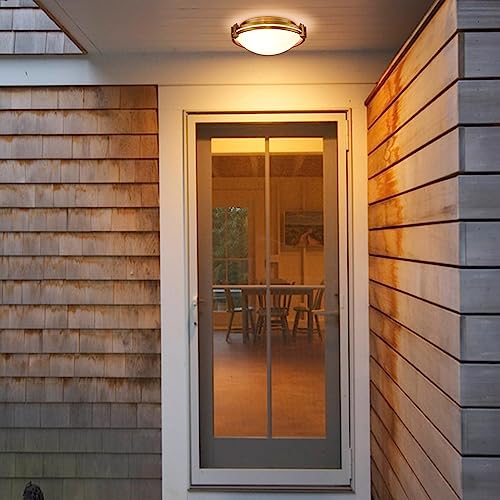 Modern Gold Flush Mount Ceiling Light