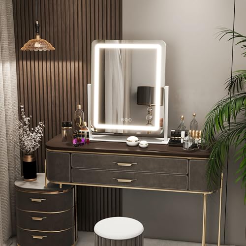 Vanity Mirror with Lights 22 Inch
