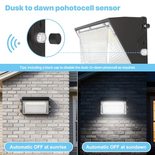 LED Wall Pack Light (3 Count)