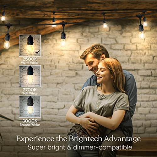 Ambience Pro Waterproof LED Outdoor String Lights (24 Foot)
