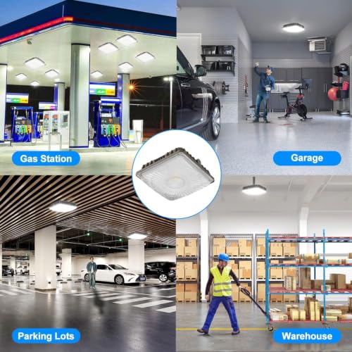 LED Canopy Light 60W (60W 6PACK)