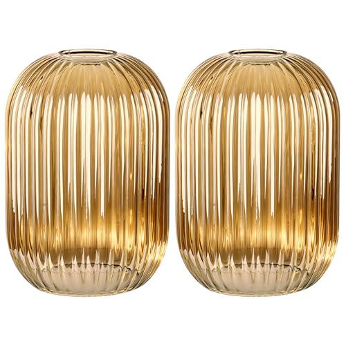 2 Pack Amber Ribbed Glass Lamp Shade (2 Count)