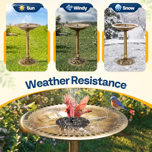 Bird Bath with Solar Fountain for Outside