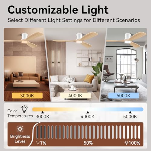 Flush Mount Ceiling Fans with Lights and Remote