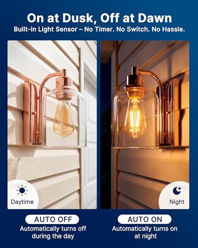 ST19 Dusk to Dawn LED Edison Bulb (8 Count)