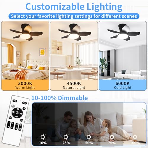 25 Inch Small Ceiling Fans with Lights (Black)