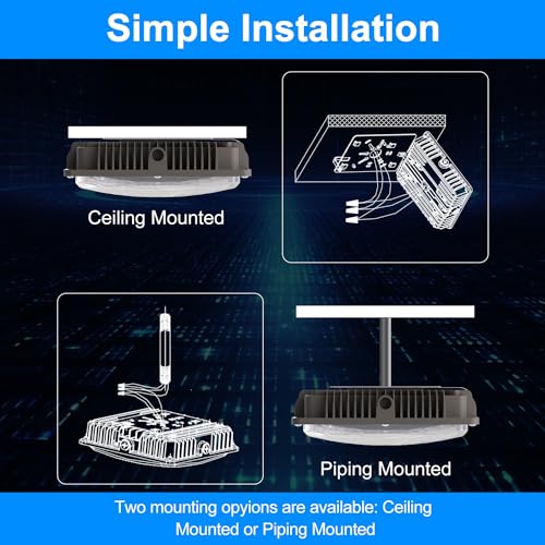 40W LED Canopy Light (40W 1PACK)
